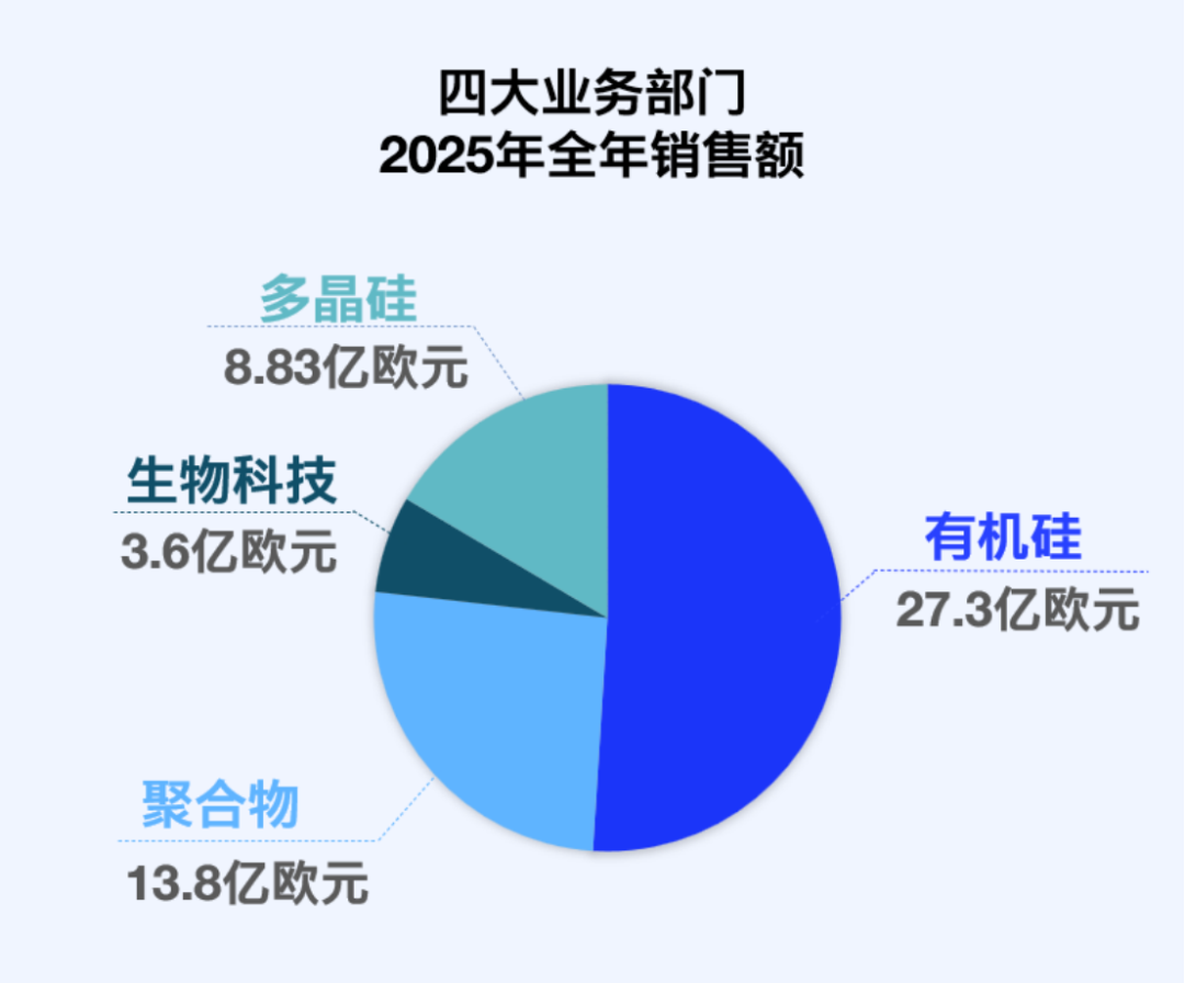 瓦克化學(xué)2025年度報(bào)告-2026展望397
