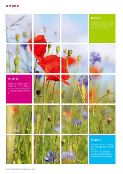 《歐洲涂料雜志中文版》（電子刊）2019第6期